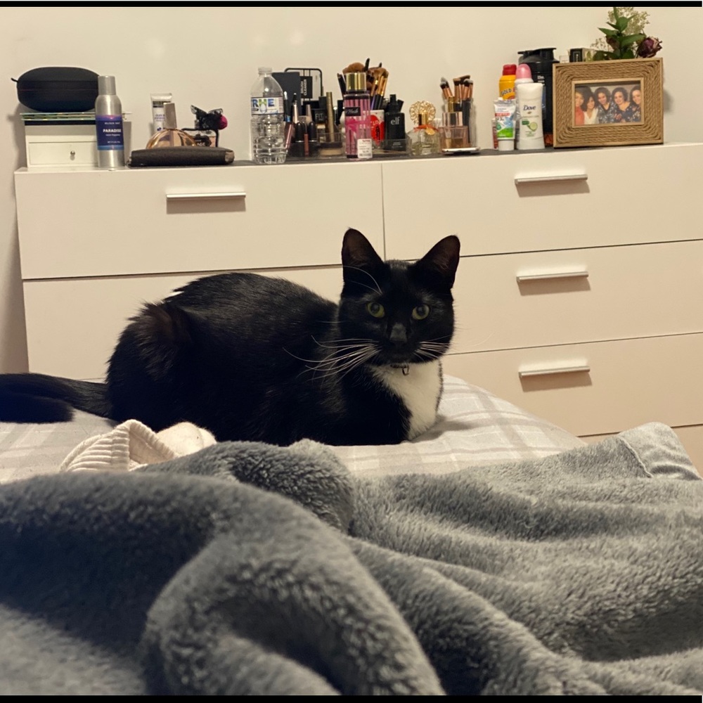 Selling my dresser, all white eight drawers